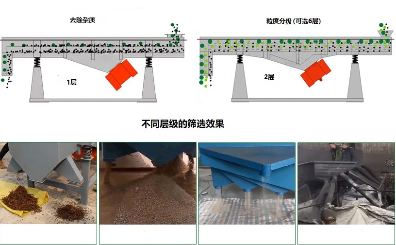 PP电子(中国)官方网站