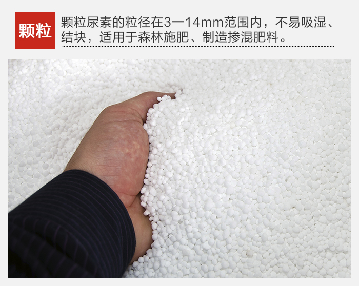 PP电子(中国)官方网站