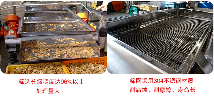 PP电子(中国)官方网站